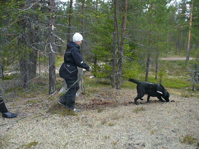 Marika ja Moona